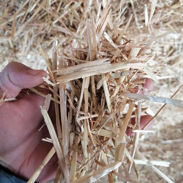 小麦秸秆2023年新货小麦秸秆无土无杂质无霉变大方捆
