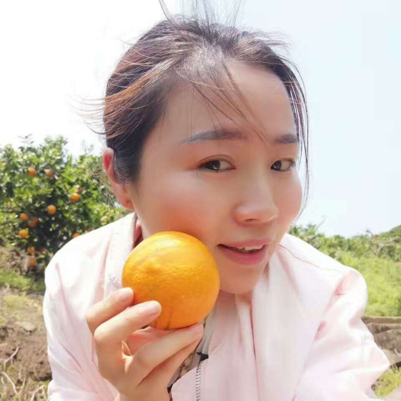 脐橙伦晚夏橙秋橙二级果高次果价格便宜支持发货