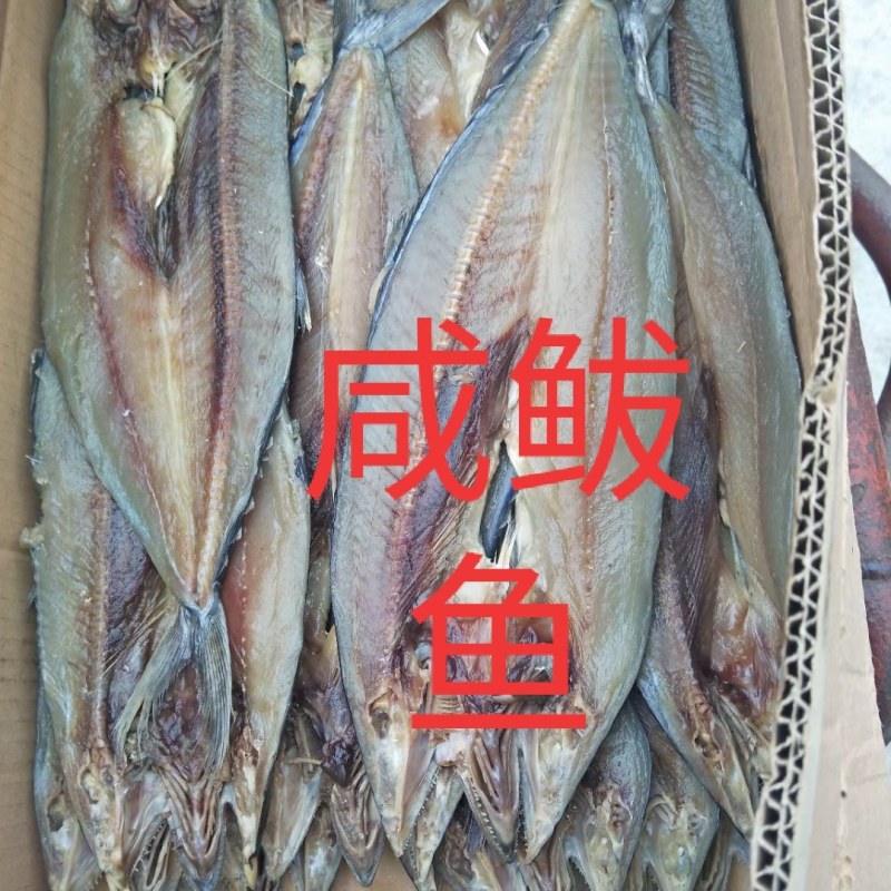 新鲜的各种咸鱼冻鱼超新鲜