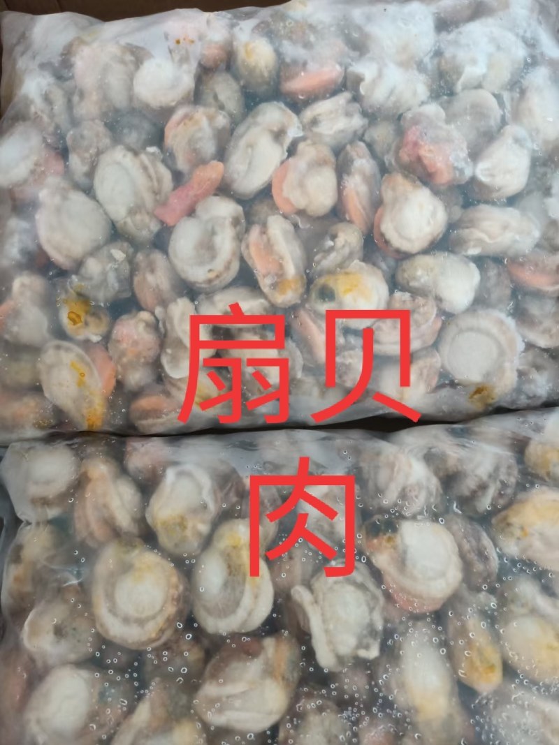 新鲜的各种咸鱼冻鱼超新鲜