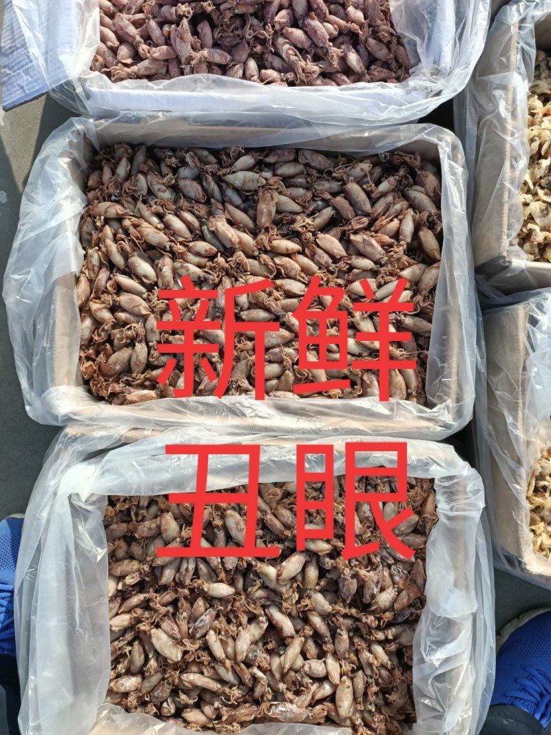 新鲜的各种咸鱼冻鱼超新鲜
