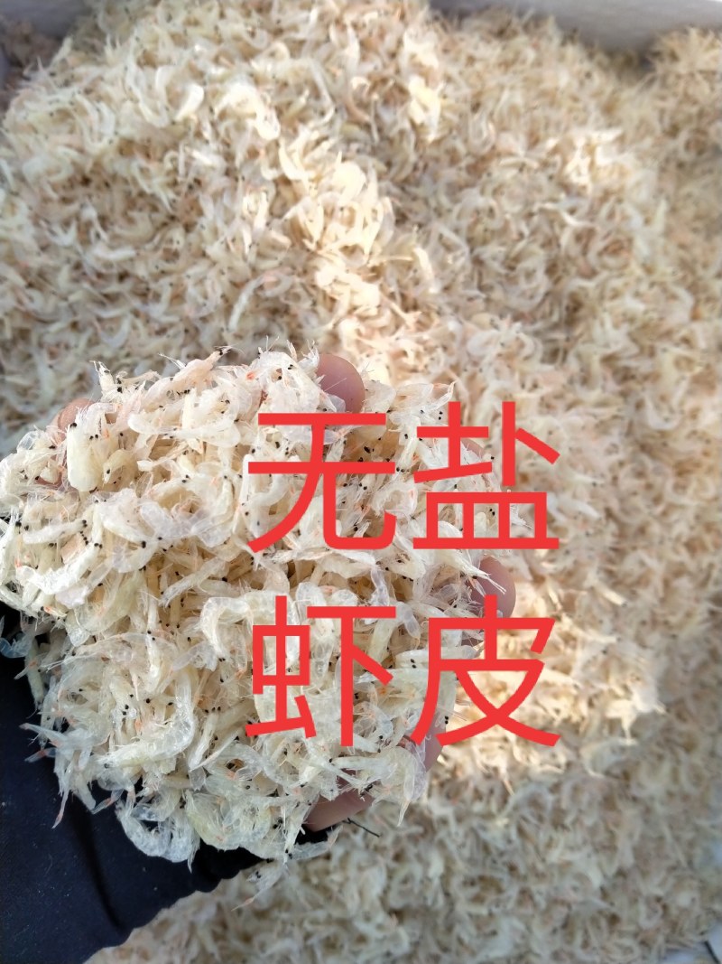 新鲜的各种咸鱼冻鱼超新鲜