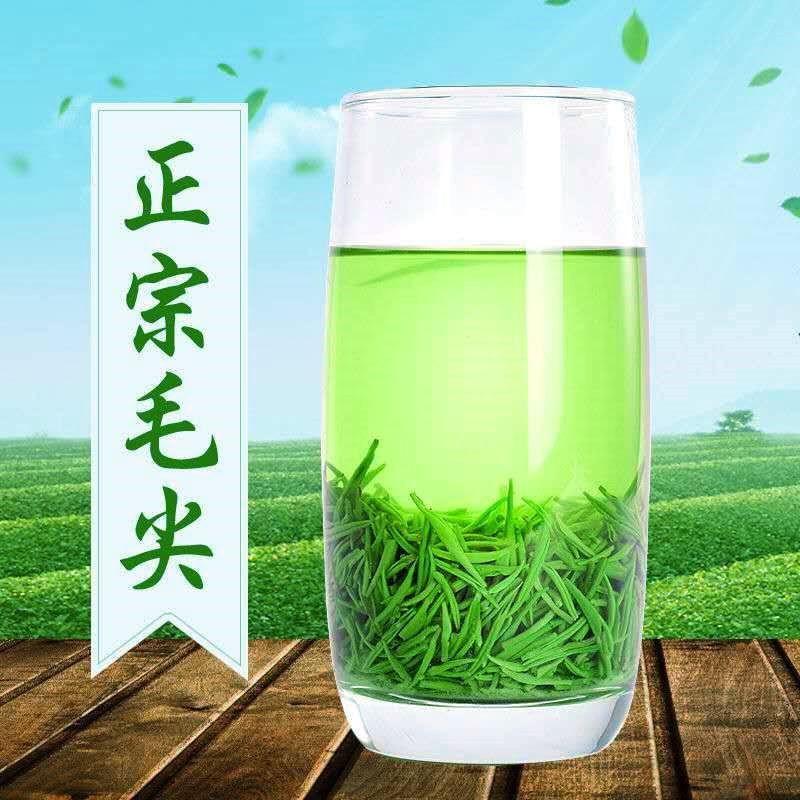 信阳毛尖2025新茶正宗明前特级嫩芽清香型毛尖绿茶茶叶