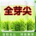 信阳毛尖2025新茶正宗明前特级嫩芽清香型毛尖绿茶茶叶