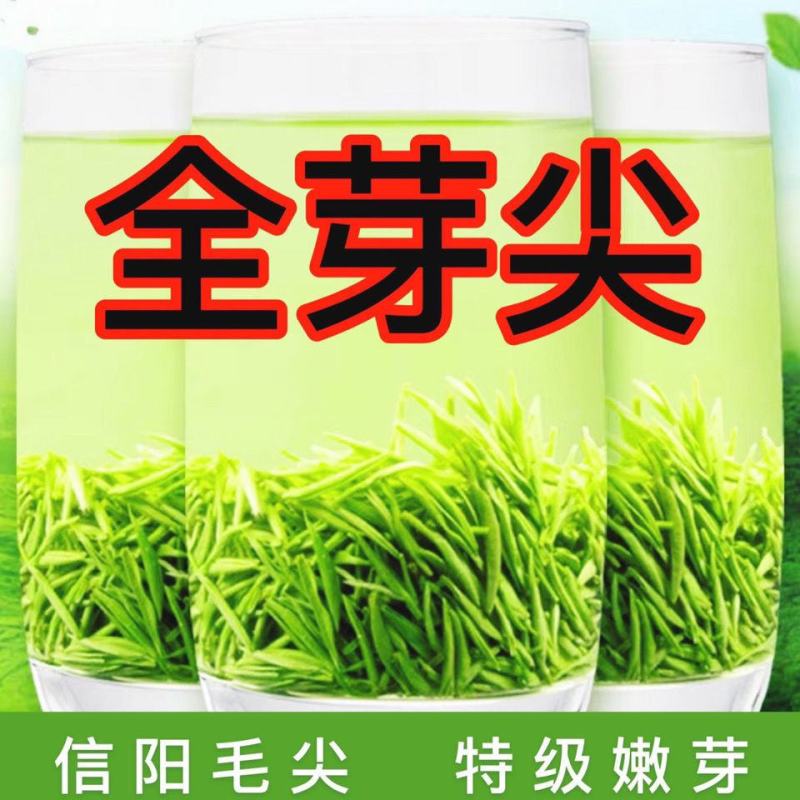 信阳毛尖2025新茶正宗明前特级嫩芽清香型毛尖绿茶茶叶