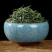 信阳毛尖2025新茶正宗明前特级嫩芽清香型毛尖绿茶茶叶