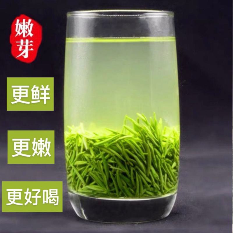 信阳毛尖2025新茶正宗明前特级嫩芽清香型毛尖绿茶茶叶