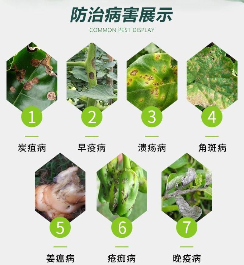 杜邦可杀得三千氢氧化铜角斑病溃疡病疮痂病杀菌剂