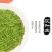 信阳毛尖2025新茶正宗明前特级嫩芽清香型毛尖绿茶茶叶