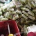 提供毛菜娃娃菜，大娃，小娃，各种精品包装