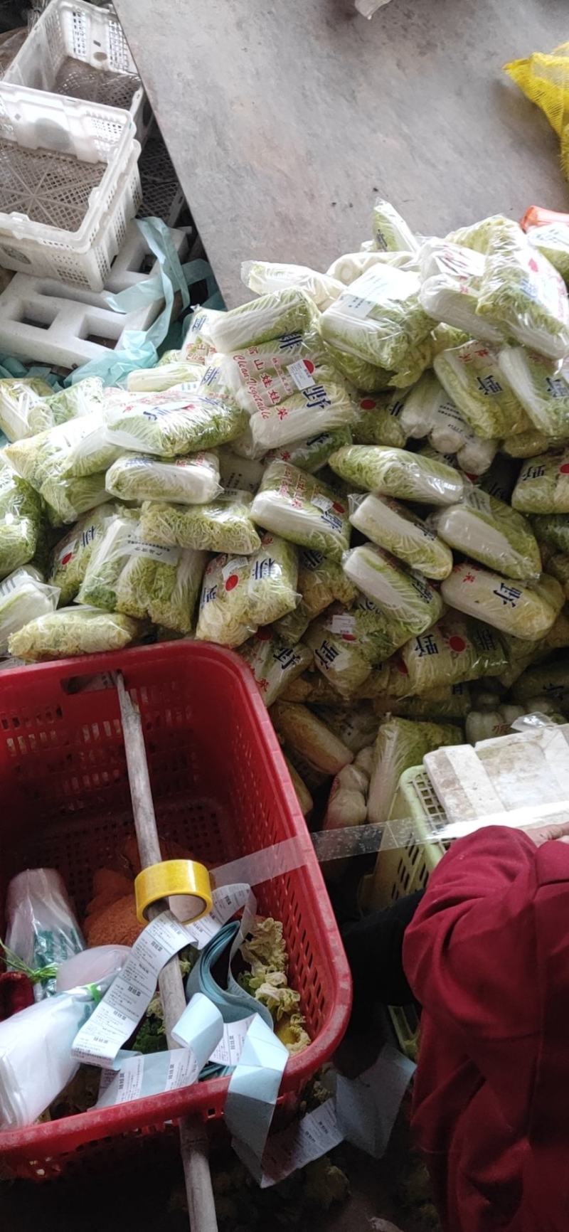 提供毛菜娃娃菜，大娃，小娃，各种精品包装