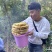 云南怒江福贡高黎贡山野生蜂蜜