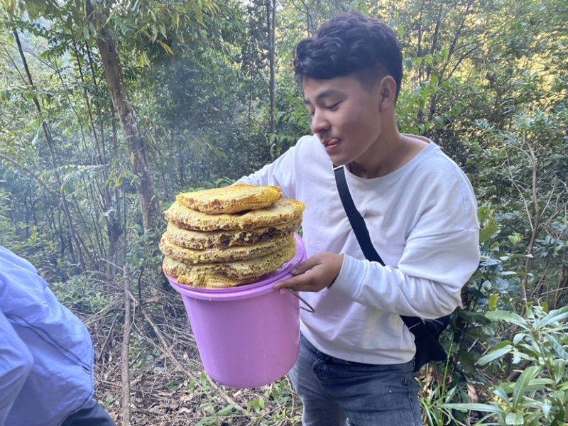 云南怒江福贡高黎贡山野生蜂蜜