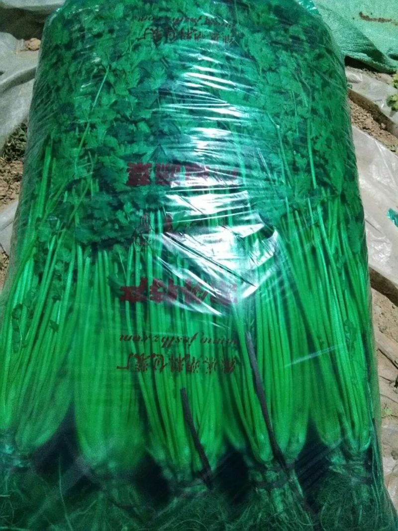 精品香菜，图中质量，保证精品，诚信，小把，无土，无黄，