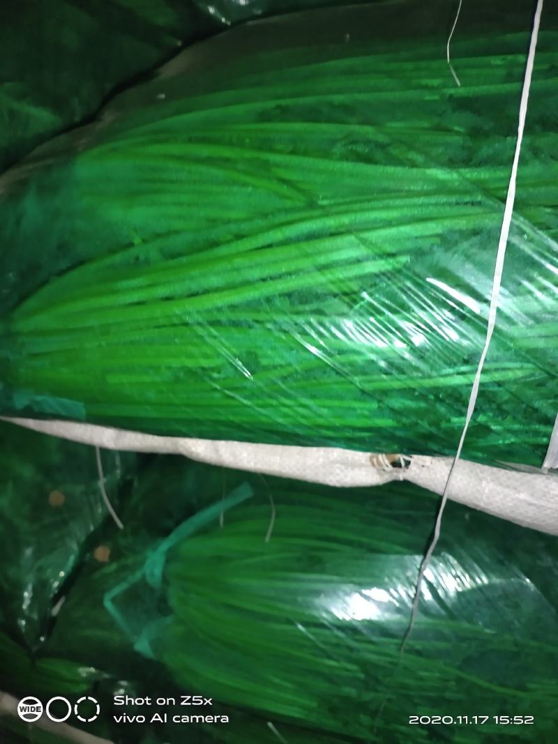 精品香菜，图中质量，保证精品，诚信，小把，无土，无黄，