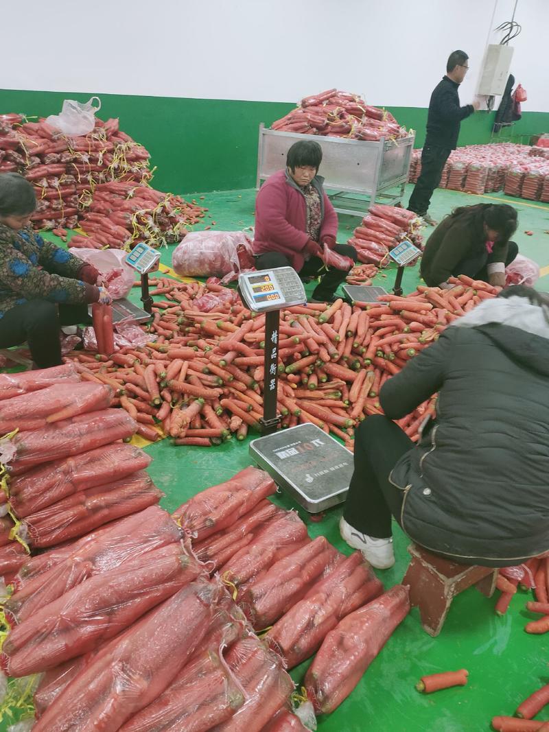 【实力商家】大荔沙苑红萝卜，货源充足产地直销萝卜新鲜耐放