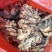 山东沂蒙山生姜精品小黄姜，大量有货，价格便宜欢迎考察采购