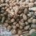 山东沂蒙山芋头香芋大量上市供应，货源充足，价格美丽欢迎