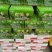 魔芋专用汰腐净种植魔芋必用种子消毒杀菌出苗治病抗病