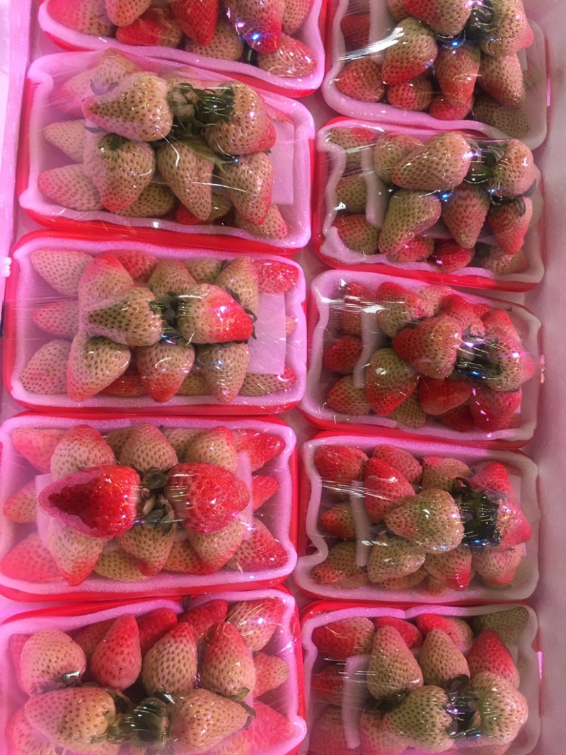 大凉山露天草莓，新鲜水果