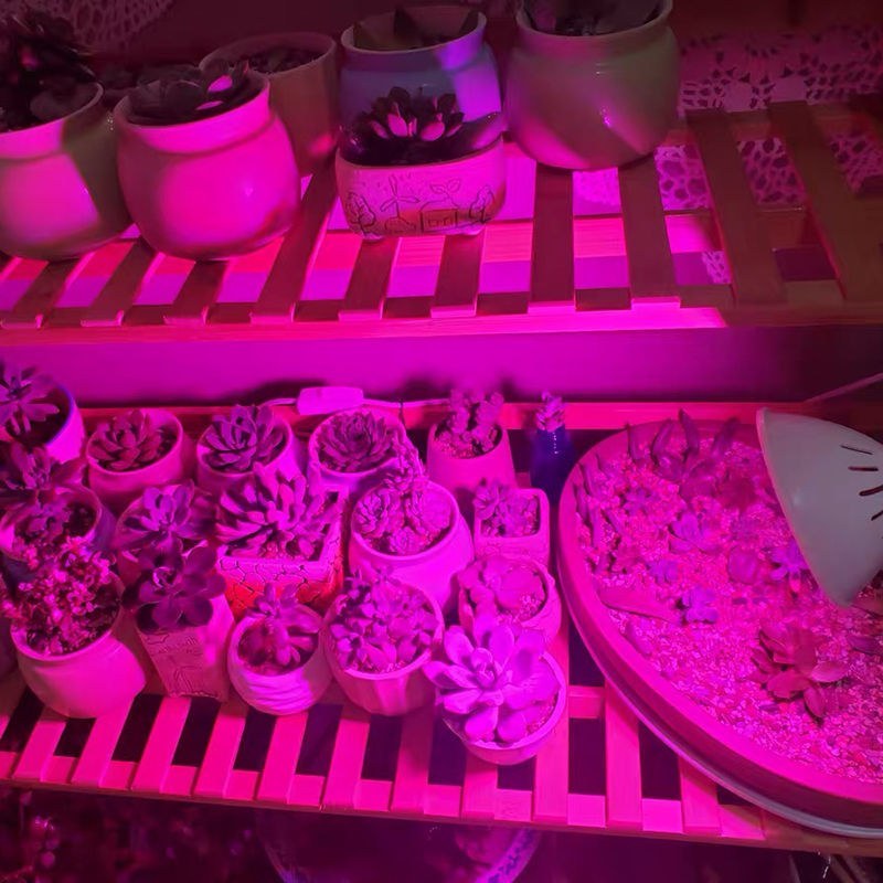 〈包邮）植物生长灯补光灯全光谱仿阳光多肉补光灯led补光