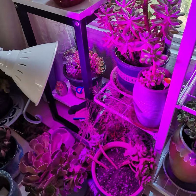〈包邮）植物生长灯补光灯全光谱仿阳光多肉补光灯led补光