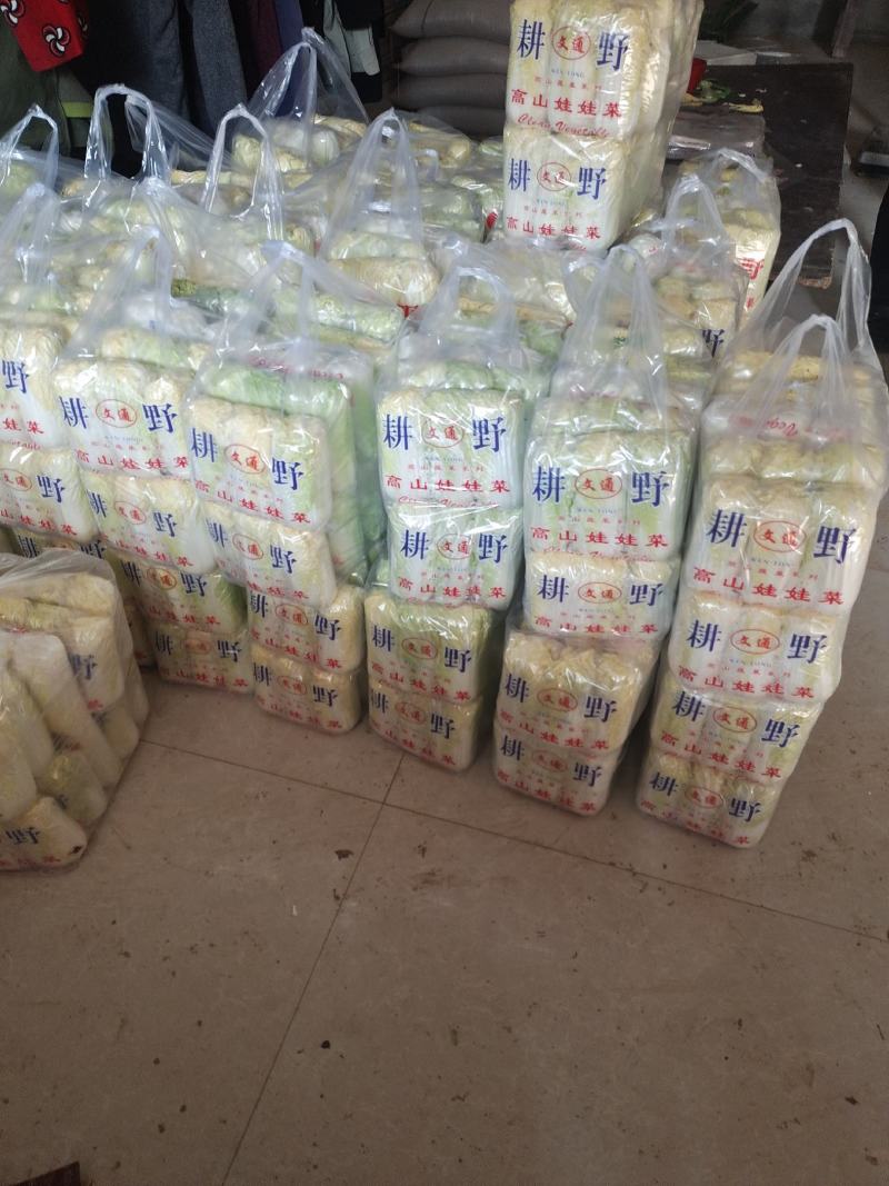 优质娃娃菜大量供应，代发全国，质量保证，