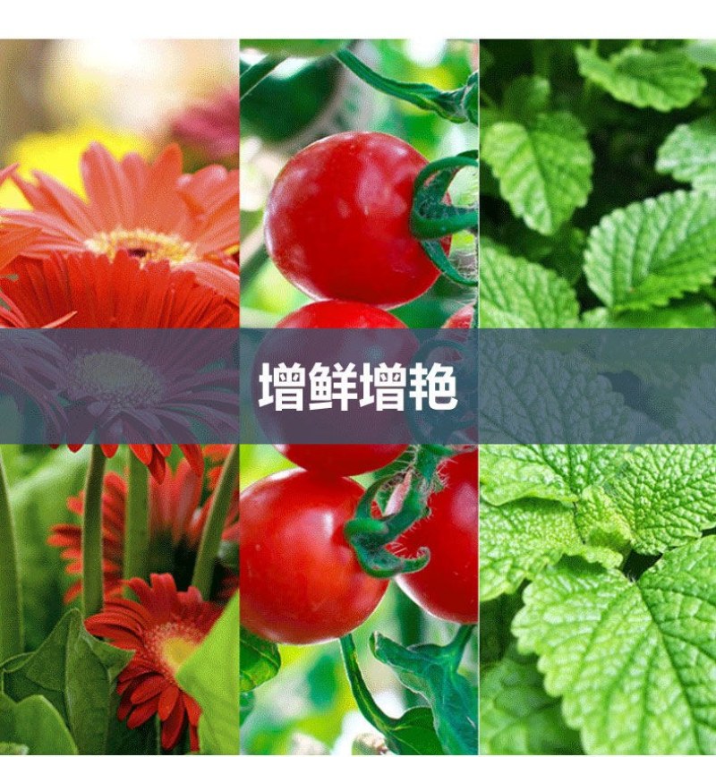 〈包邮）植物生长灯补光灯全光谱仿阳光多肉补光灯led补光