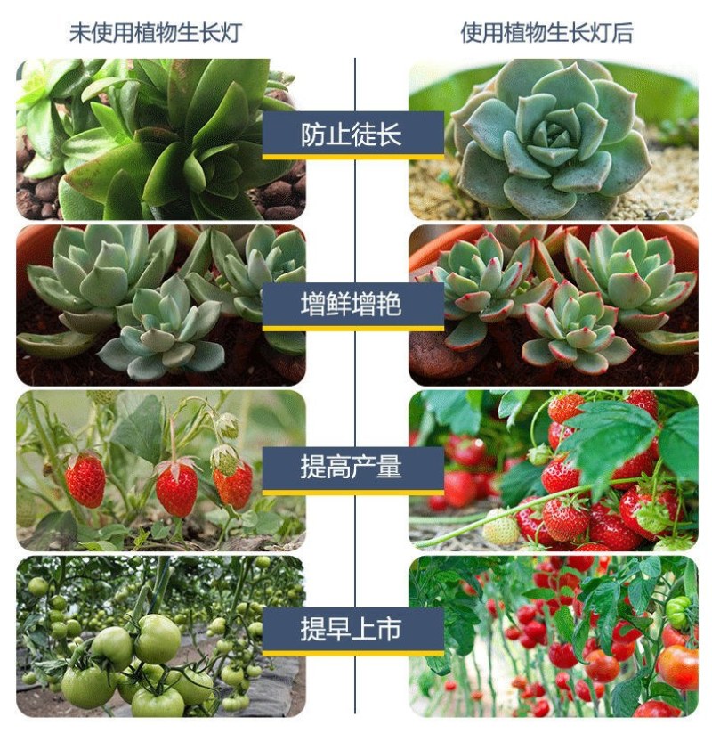 〈包邮）植物生长灯补光灯全光谱仿阳光多肉补光灯led补光