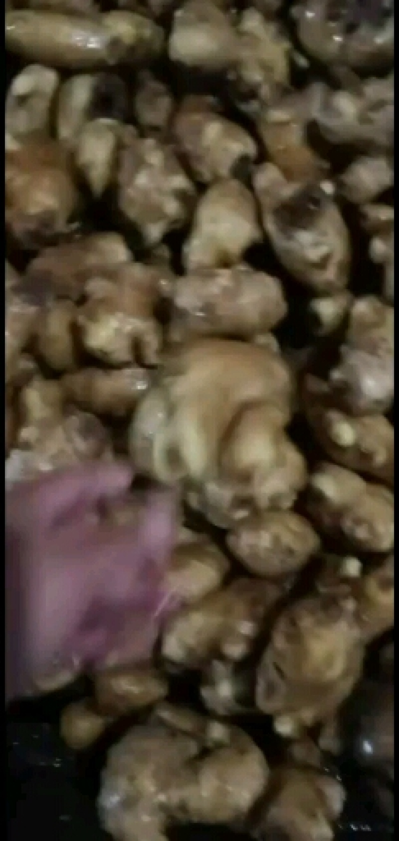山东大黄姜种植基地。有大量黄姜岀酬。有需要的老板前来采购