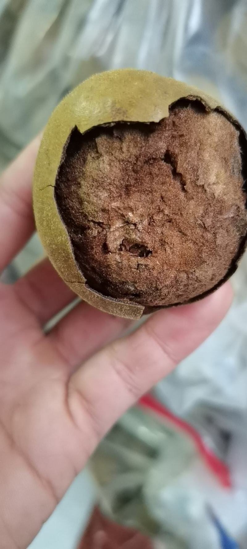 罗汉果批发产地一手货源各种规格一级质量