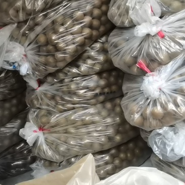 罗汉果批发产地一手货源各种规格一级质量