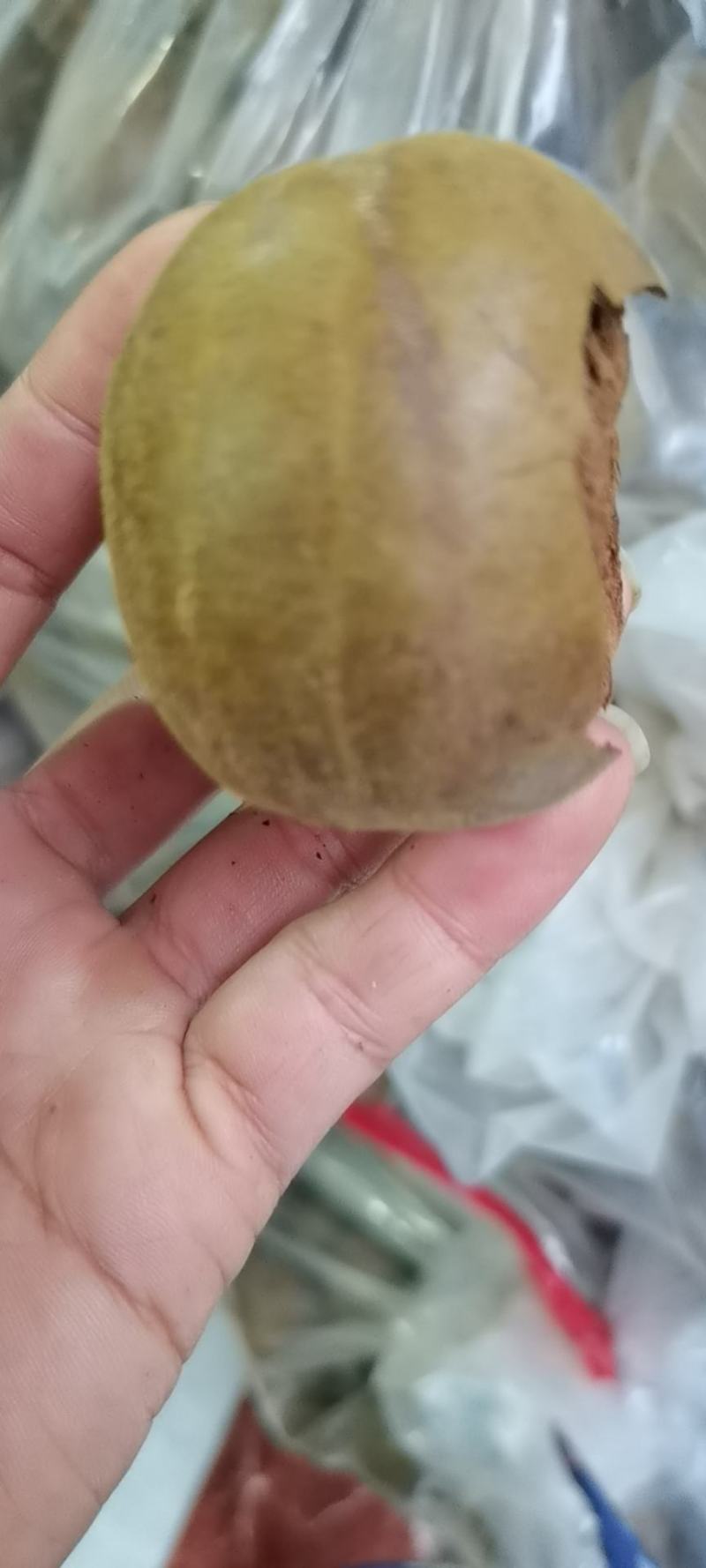 罗汉果批发产地一手货源各种规格一级质量