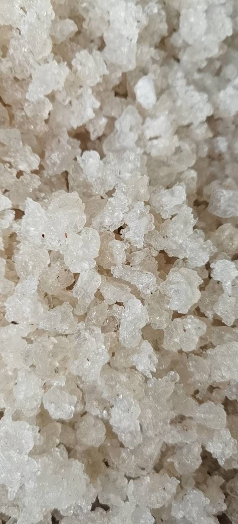 云南药材【缅甸拉丝雪燕】34A小龙须等品级货下单提前咨询