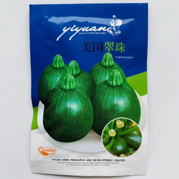 西葫芦种子美国翠珠极早熟无蔓型瓜为高椭圆形表皮深绿色