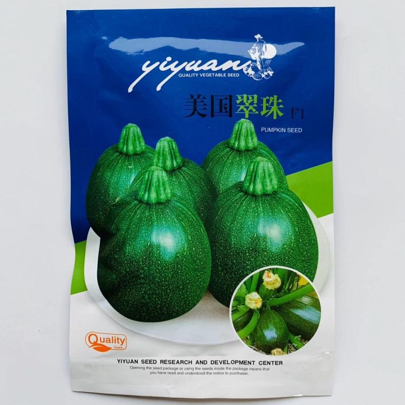 西葫芦种子美国翠珠极早熟无蔓型瓜为高椭圆形表皮深绿色