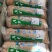 内蒙古锡林浩特本地羊毛肚《厂家直销》