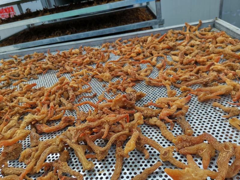 黄精片，鸡头黄精片无硫足干成色好无杂质
