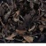 福鼎白茶2012年老白茶寿眉散茶500克批量可定制