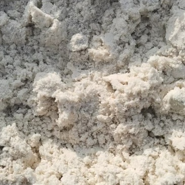 大豆油渣质量保证诚信经营本公司常年出售