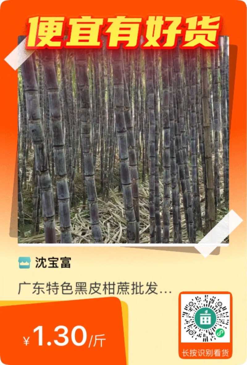精品甘蔗代理批发零售