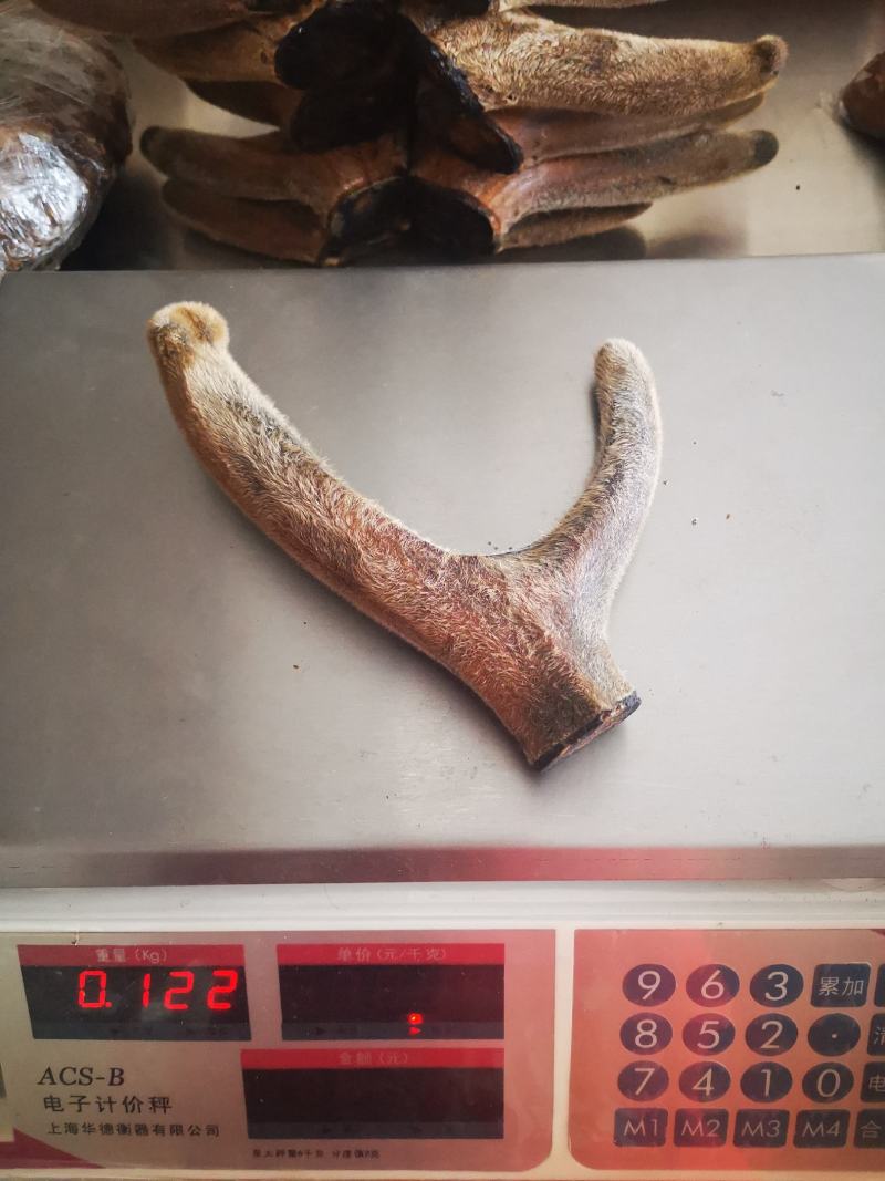 精品梅花鹿干鹿茸头茬二杠茸连刀茸质量保证欢迎采购