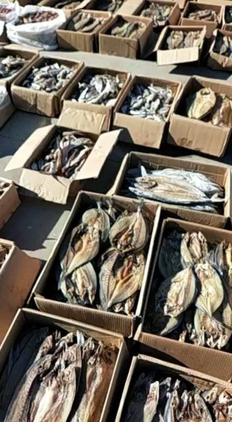梭鱼棍棍子鱼咸鱼干对接各地电商微商一手货源大量现货供应
