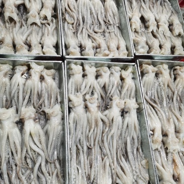 鱿鱼须鱿鱼头，机洗头，纯干鱿鱼头鱿鱼须各种规格，品质保证