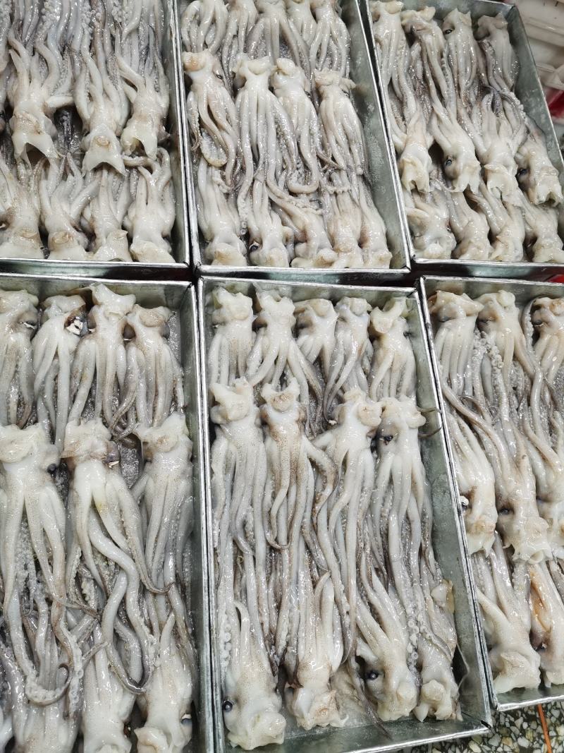 鱿鱼须鱿鱼头，机洗头，纯干鱿鱼头鱿鱼须各种规格，品质保证