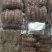 连云港鲜皮皮虾肉，200克每包，全部是活皮皮虾制作