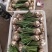 根芹，野菜特菜全国发货，炒肉吃，味道浓郁