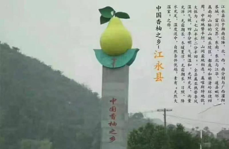 沙甜柚，大量上市，有需要的可以联系我，现在好货多多