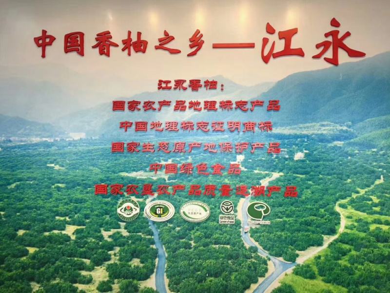 沙甜柚，大量上市，有需要的可以联系我，现在好货多多