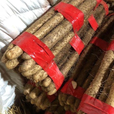 红云代购代销各种各样的山药